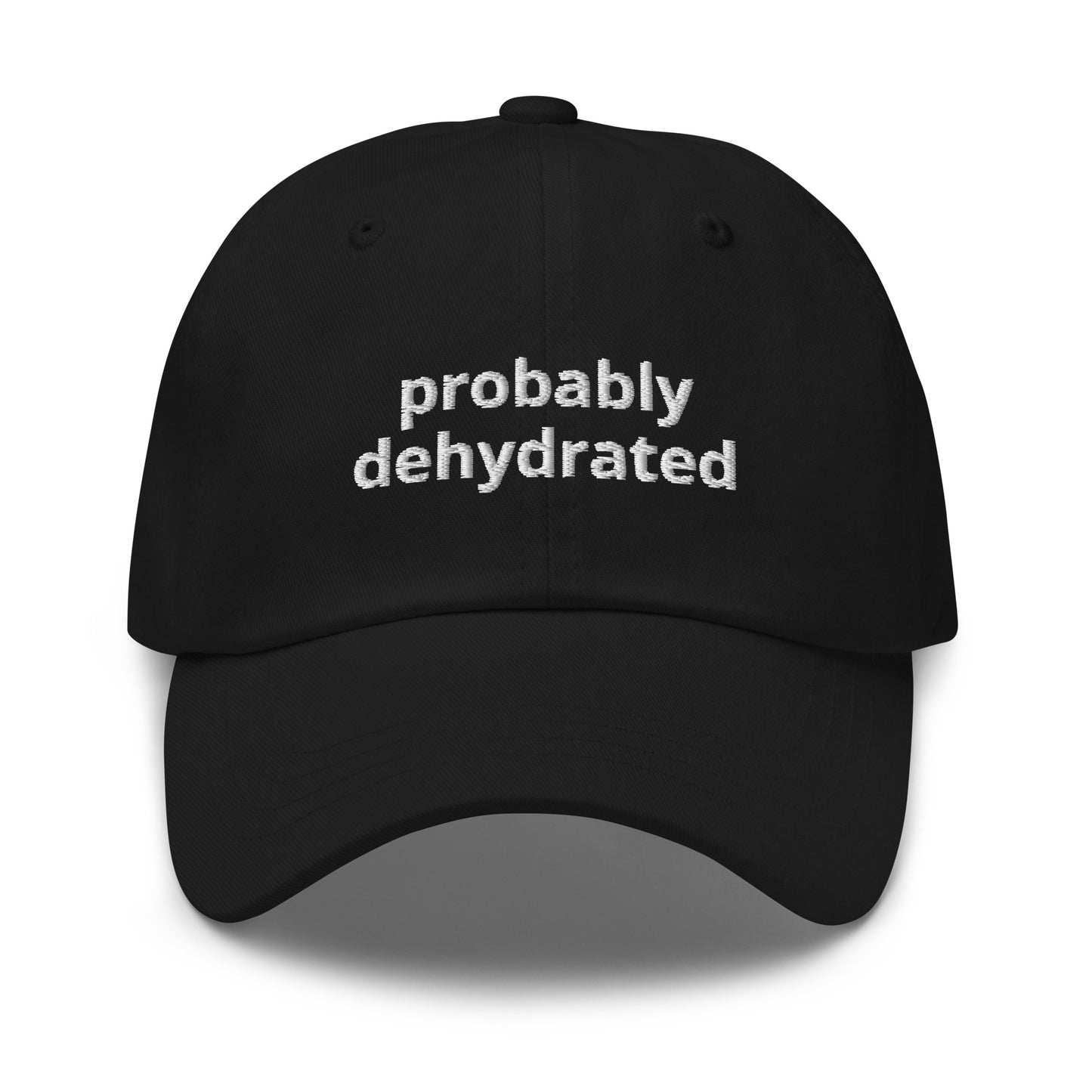 Probably Dehydrated Baseball Cap