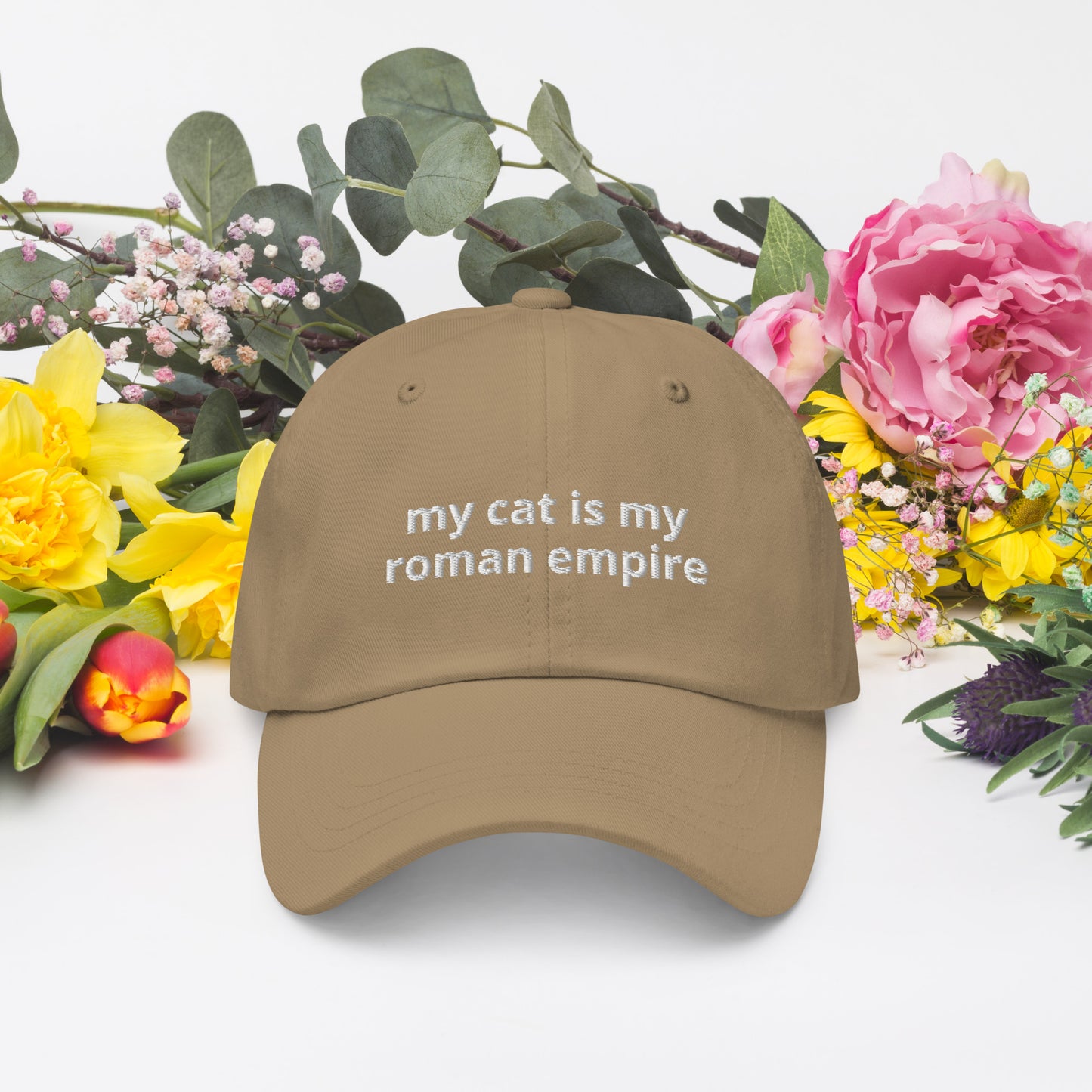 My Cat Is My Roman Empire Baseball Cap