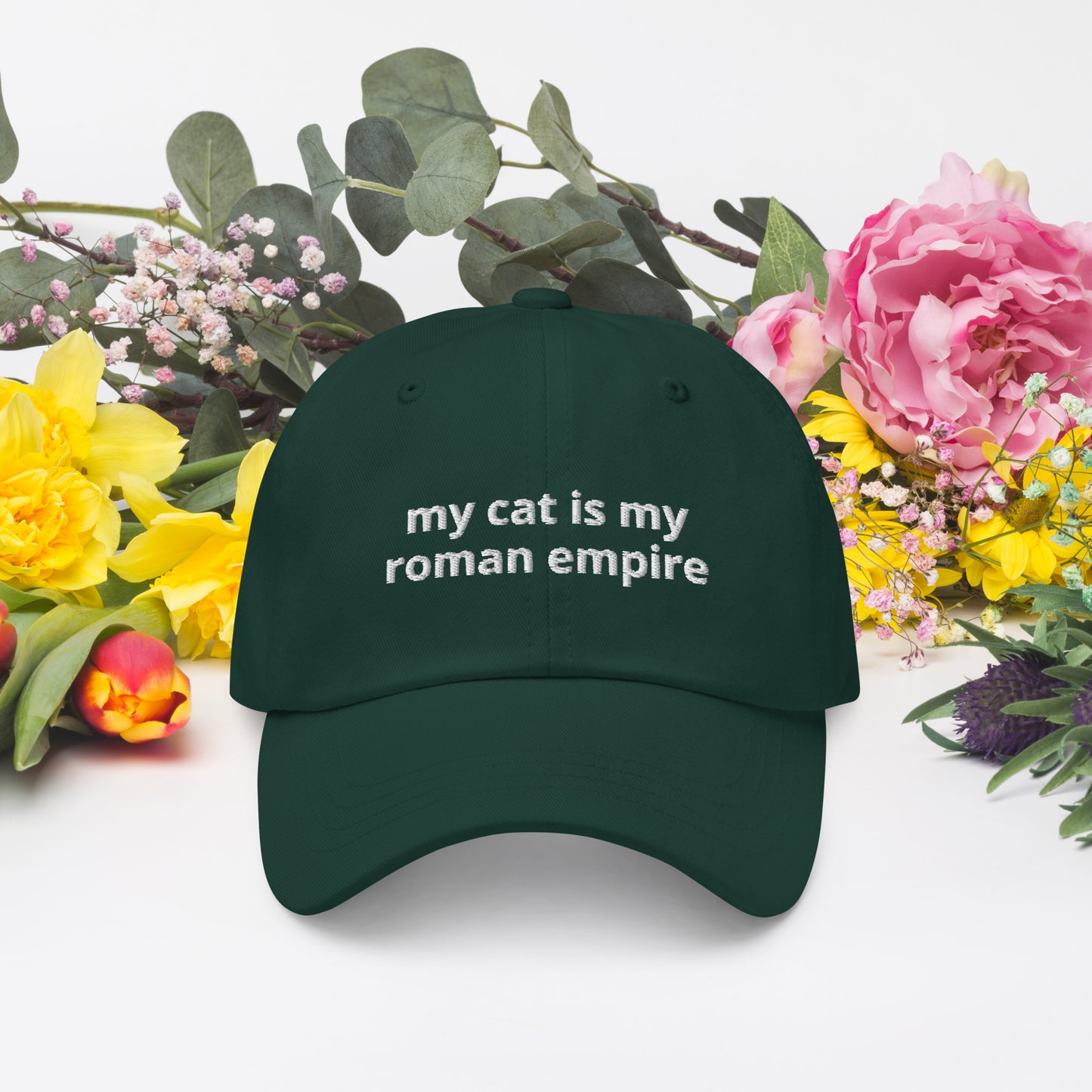 My Cat Is My Roman Empire Baseball Cap