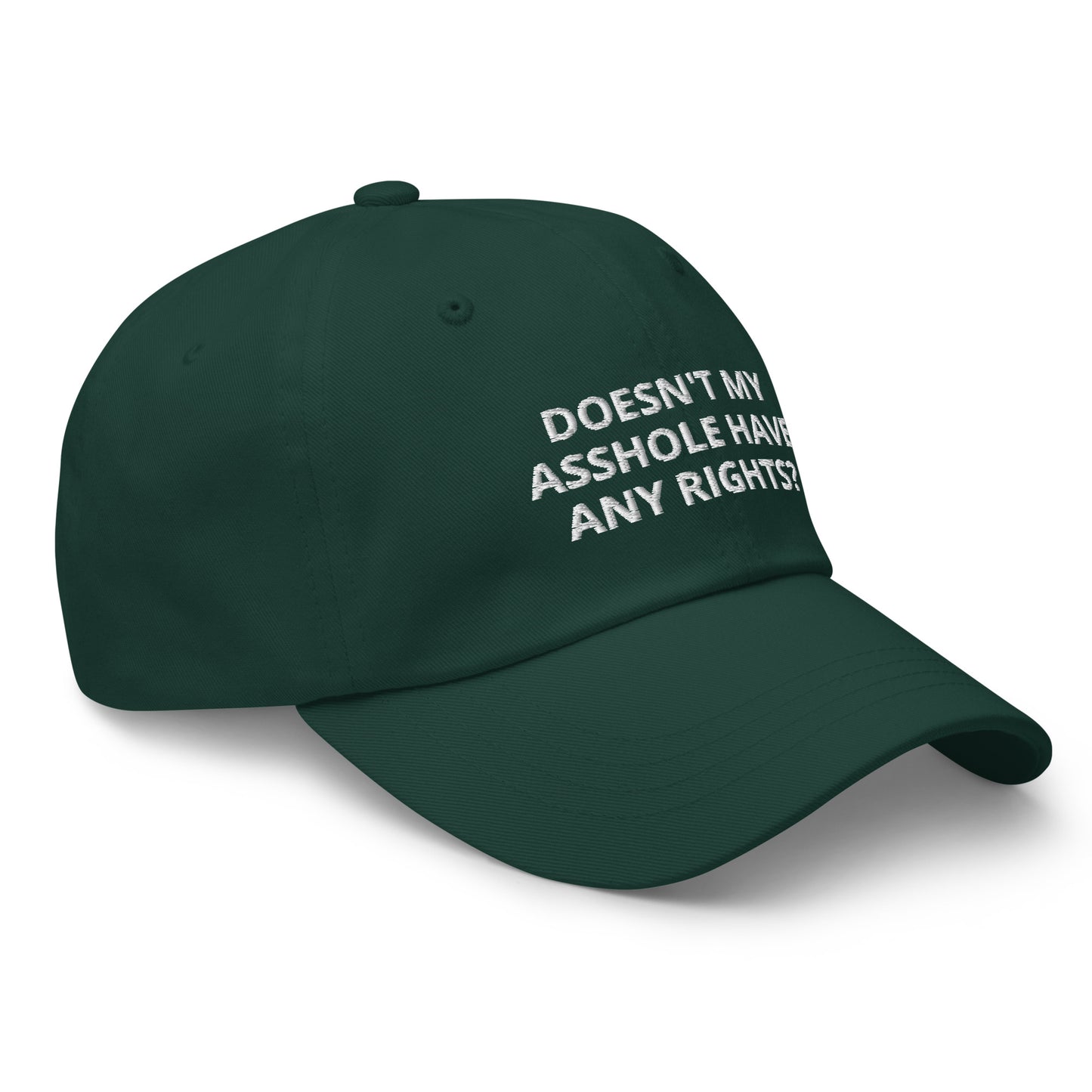 Doesn't My Asshole Have Any Rights Baseball Cap